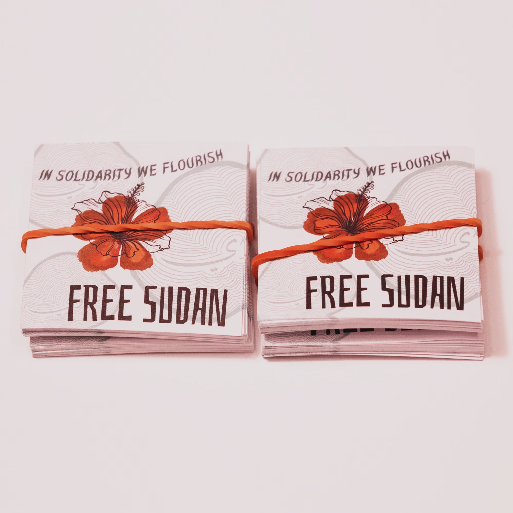 Free Sudan