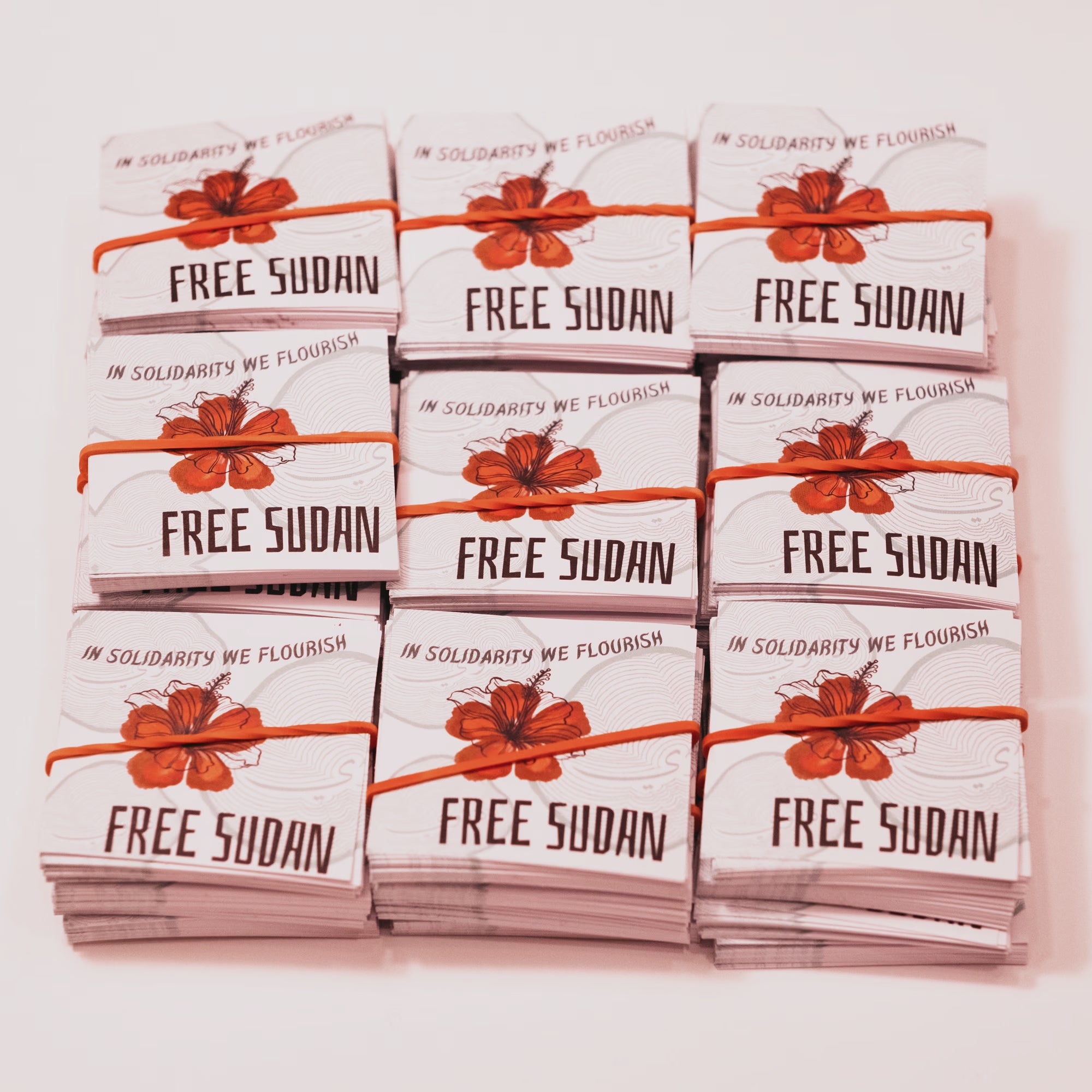 Free Sudan