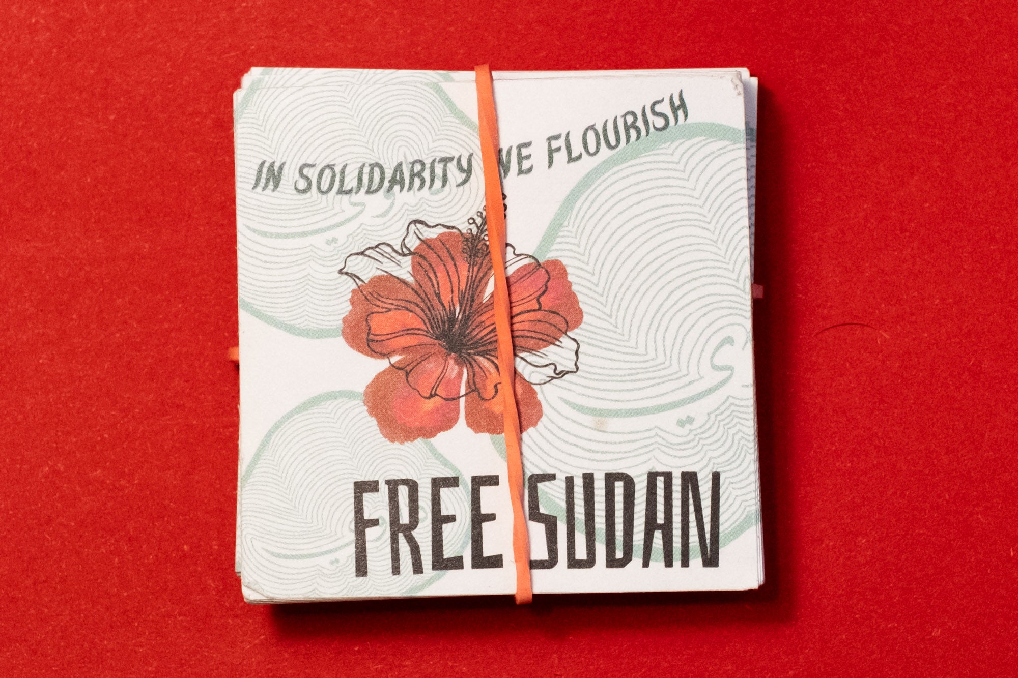 Free Sudan